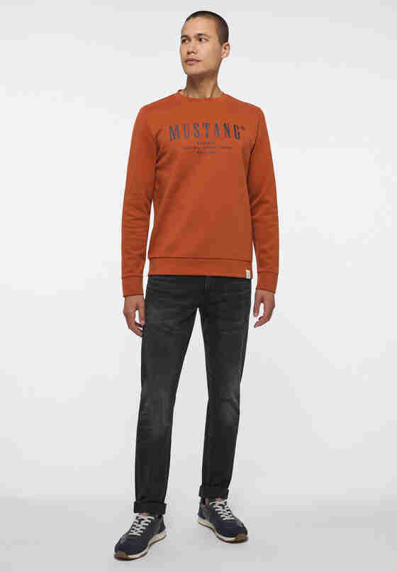 Sweatshirt Style Ben CN LOGO, Orange, model