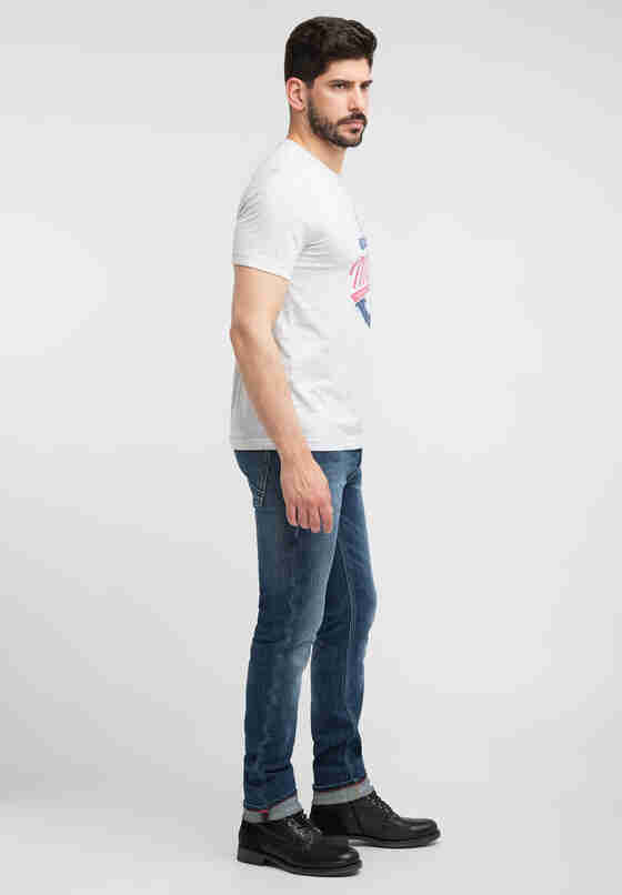 T-Shirt Alex C Print, Grau, model