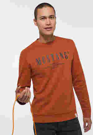 Sweatshirt Style Ben CN LOGO
