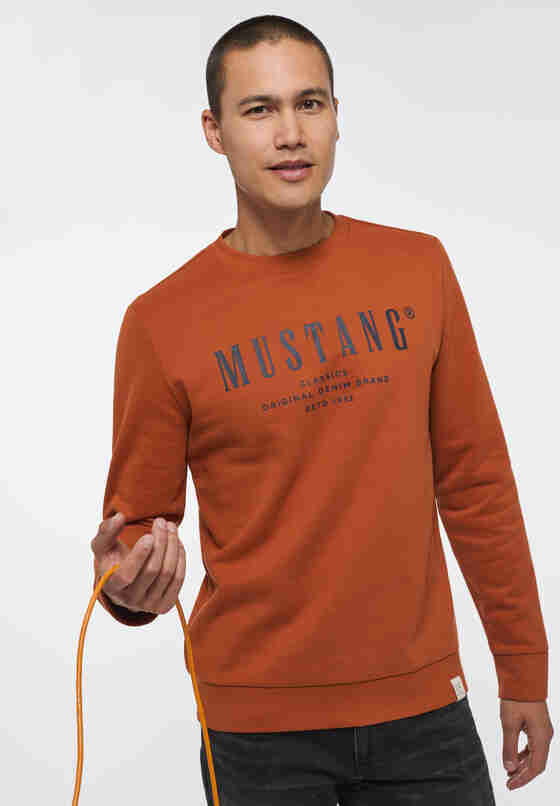 Sweatshirt Style Ben CN LOGO, Orange, model