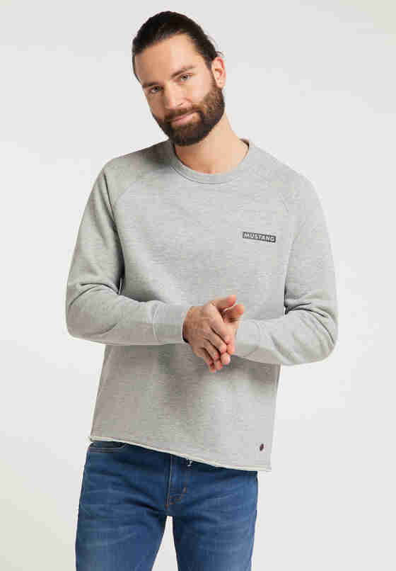 Sweatshirt Ben C Small Logo, Grau, model