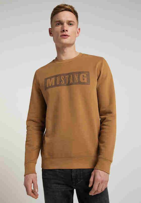 Sweatshirt Sweater, Braun, model