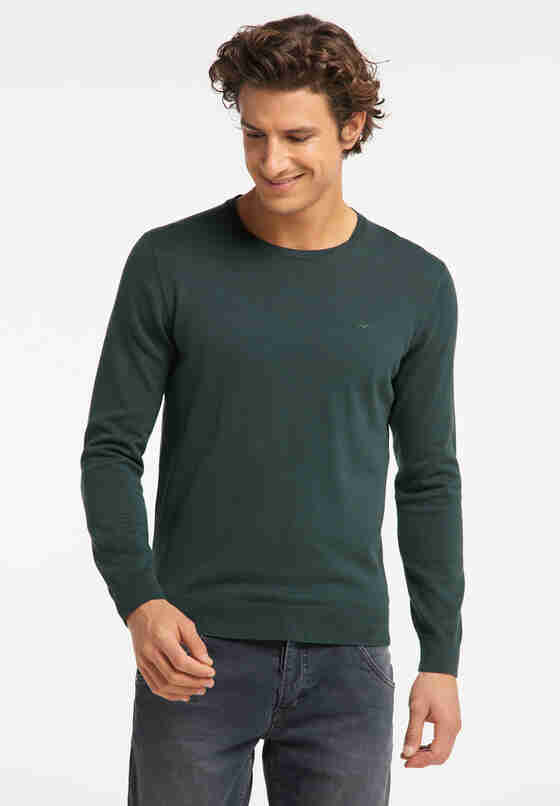 Sweater Style Emil C Basic, Grün, model