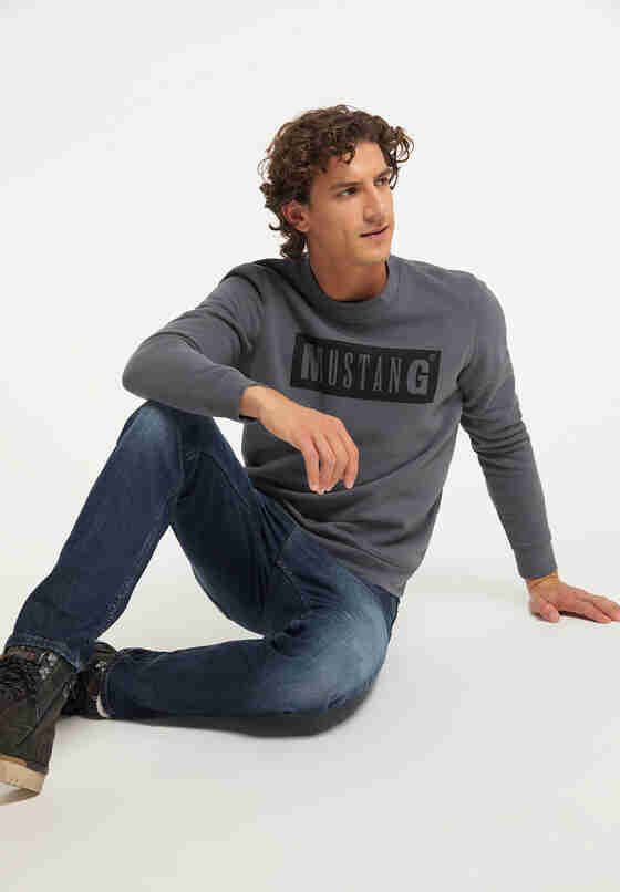 Sweatshirt Logo-Sweater, Grau, model