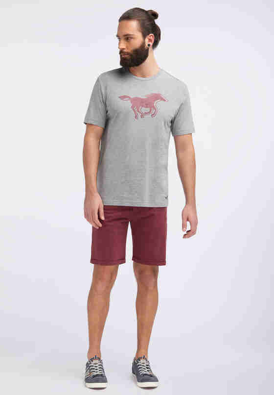 T-Shirt Horse Tee, Grau, model